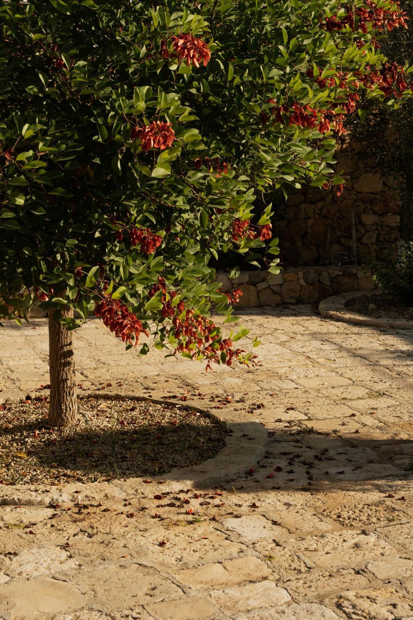 Tenuta Negroamaro Gallipoli Esterno foto